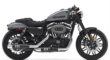 2017 Harley-Davidson Roadster™