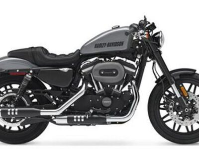 2017 Harley-Davidson Roadster™