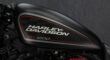2020 HARLEY DAVIDSON XL1200CX SPORSTER 1200 ROADSTER