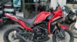 New 2023 Moto Morini Standard Motorcycle X-CAPE