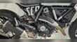 New 2024 Ducati Sportbike Motorcycle Scrambler Icon