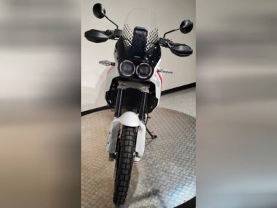 New 2024 Ducati Standard Motorcycle DesertX For