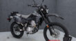 New 2024 Kawasaki Dual Sport Motorcycle KLX300 For Sale