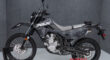 New 2024 Kawasaki Dual Sport Motorcycle KLX300 For Sale