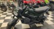 New 2023 Honda® Standard Motorcycle Navi