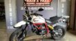 2020 Ducati Scrambler Desert Sled White Mirage