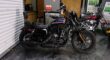 Used 2020 Harley-Davidson Cruiser Motorcycle SPORTSTER XL1200N
