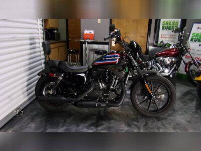 Used 2020 Harley-Davidson Cruiser Motorcycle SPORTSTER XL1200N