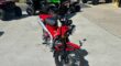 Used 2022 Honda Cruiser Motorcycle Trail125