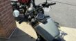 Used 2024 Honda® Cruiser Motorcycle Shadow Phantom