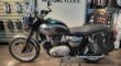 Used 2022 Triumph Standard Motorcycle Bonneville T120 Gold Line Silver Ice / Competition Gree