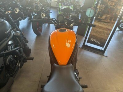 New 2024 Kawasaki Cruiser Motorcycle Eliminator® SE ABS