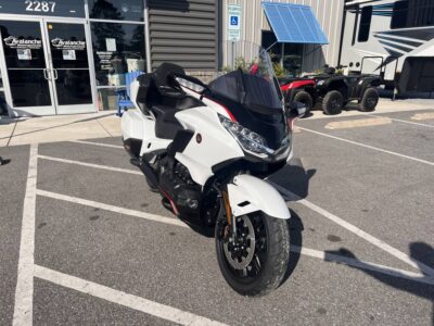 New 2024 Honda Touring Motorcycle Gold Wing Tour