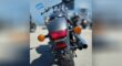Used 2022 Honda® Cruiser Motorcycle Shadow Phantom