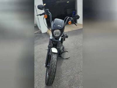 Used 2019 Harley-Davidson® Cruiser Motorcycle XL 1200NS – Sportster® Iron 1200